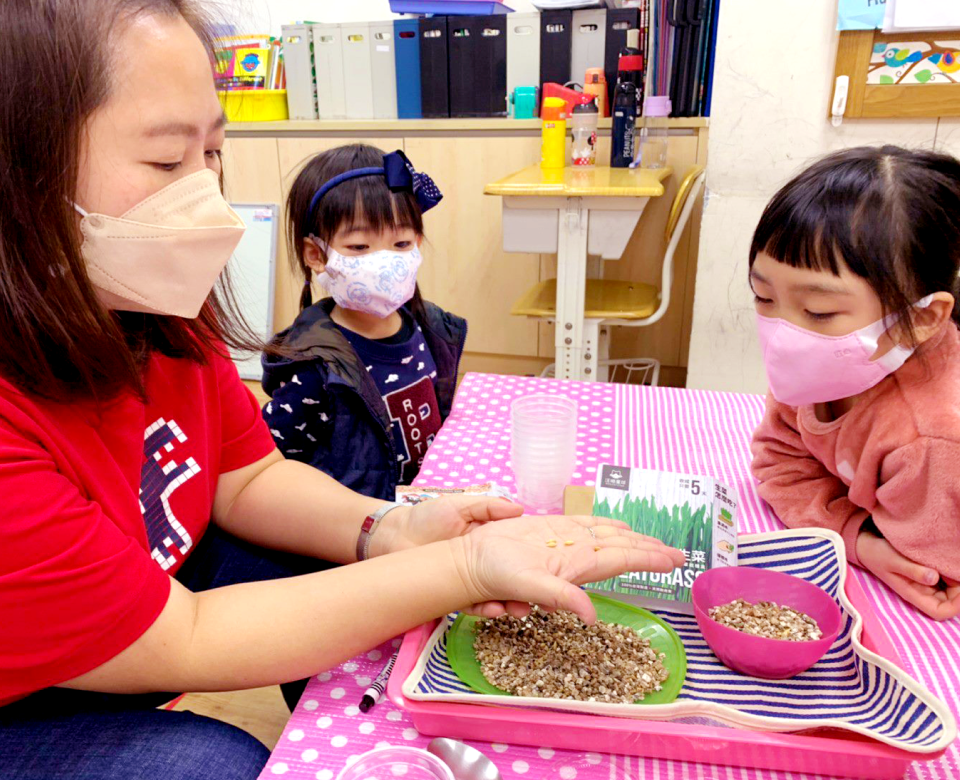 This image for Image Layouts addon